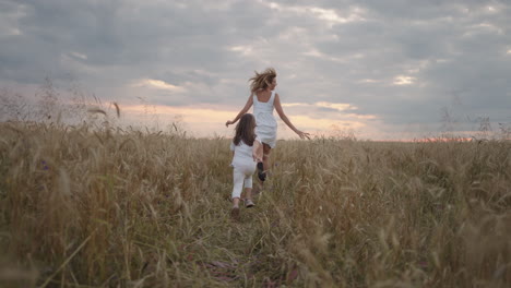 follow-:Daughter-and-mother-dream-together-run-in-the-wheat-field-at-sunset.-happy-family-people-in-the-wheat-field-concept.-Mom-and-girl-playing-catch-up-run.-baby-child-fun-running-in-green-meadow.